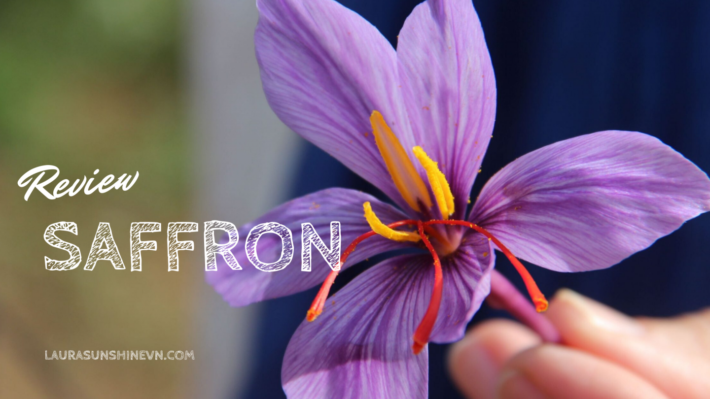 Review saffron nhụy hoa nghệ tây – Có thực sự thần thánh như chị em đồn đại