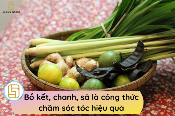 4 phương pháp gội đầu bằng bồ kết tại nhà giúp ngăn rụng tóc và kích thích mọc tóc (6)