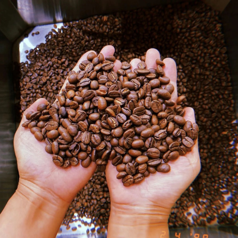 Cà phê Robusta là gì Có hương vị như thế nào (3)