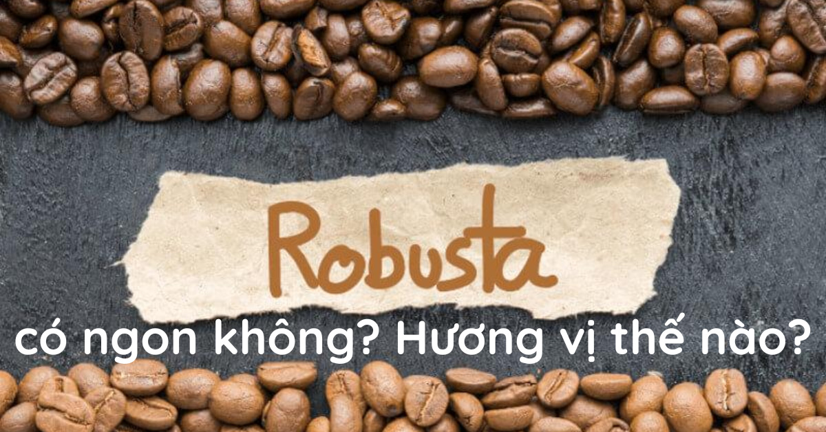 thumbnail Cà phê Robusta là gì Có hương vị như thế nào