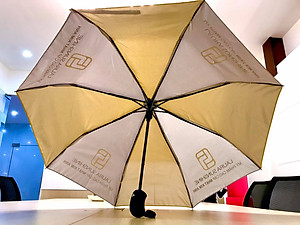 dù vàng laura sunshine 3