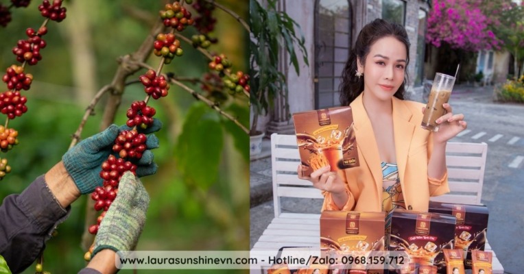 Điểm Khác Biệt Tạo Nên Thương Hiệu Laura Coffee Nhật Kim Anh 2