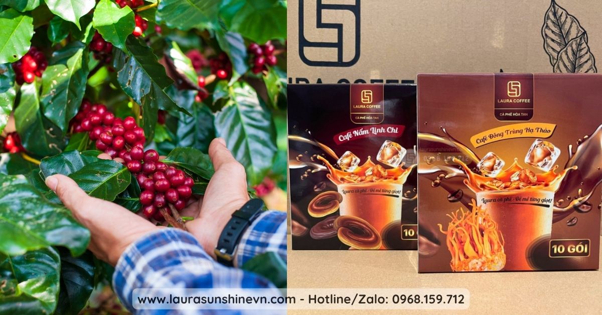 Điểm Khác Biệt Tạo Nên Thương Hiệu Laura Coffee Nhật Kim Anh 3