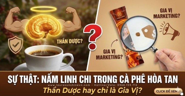 sự thật về nấm linh chi trong cafe hoà tan (4)